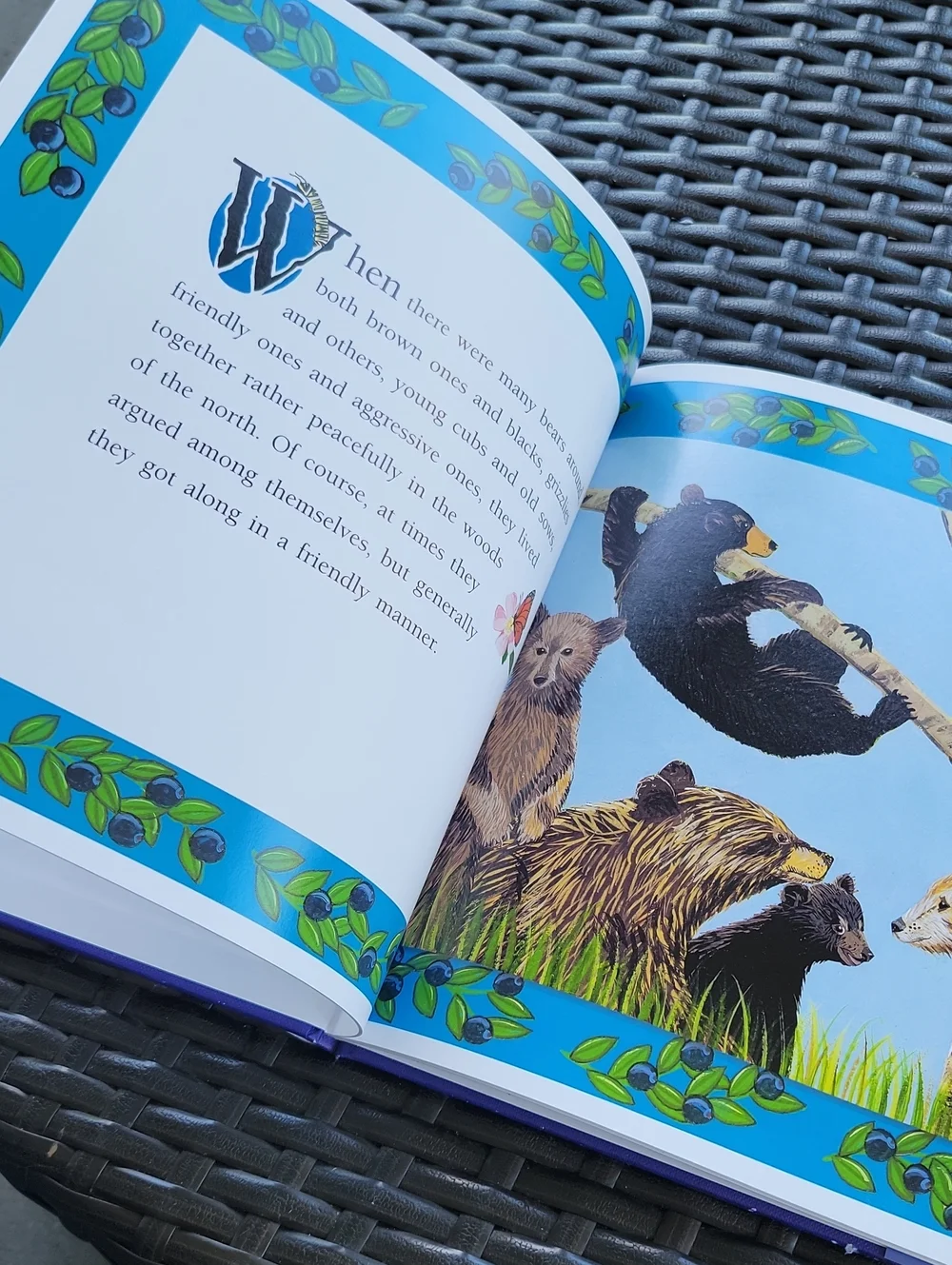 🌺3 For $10 Spotted Bear A Rocky Mountain Folktale - Blue Cover
